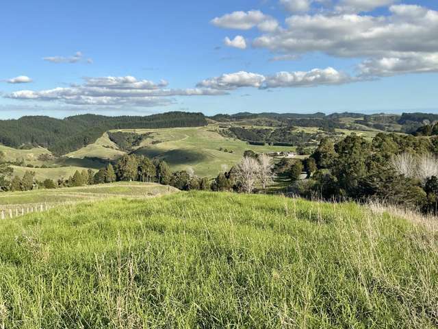 Lot 2/DP199746 Wech Access Tahekeroa_3