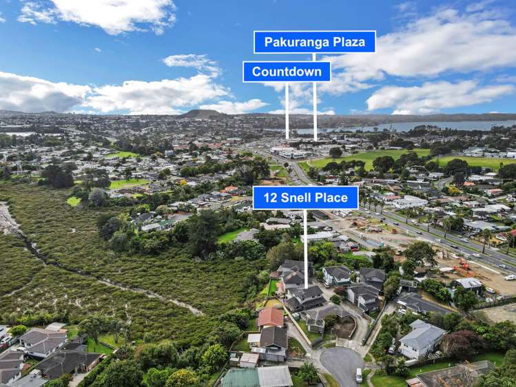 12 Snell Place Pakuranga_23