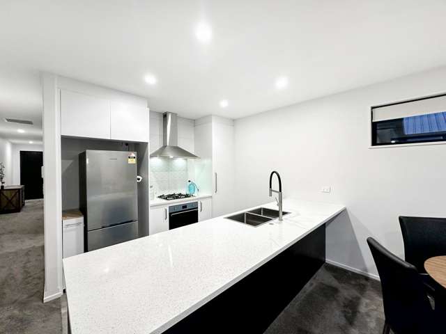 33 Mills Road Marshland_1