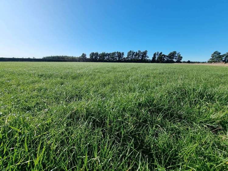 1 Richmond Lane Loburn_9