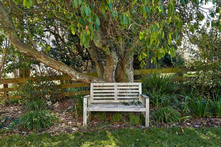 2006 Inland Kaikoura Road Kaikoura_69