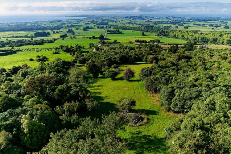 759 Mount Fyffe Road Kaikoura Surrounds_24