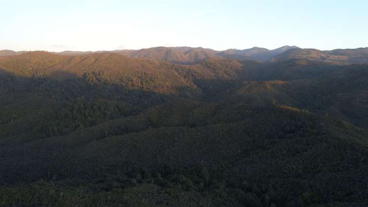 60 Snake Creek Road Kahurangi National Park_25