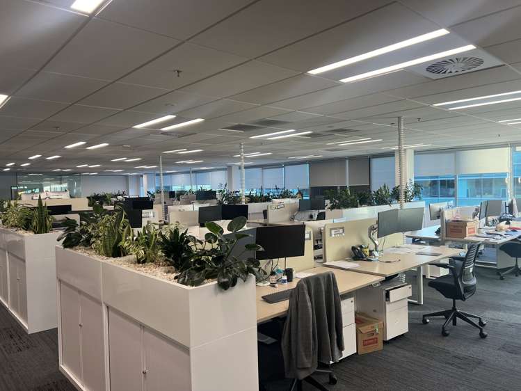 123 Carlton Gore Road Newmarket_4