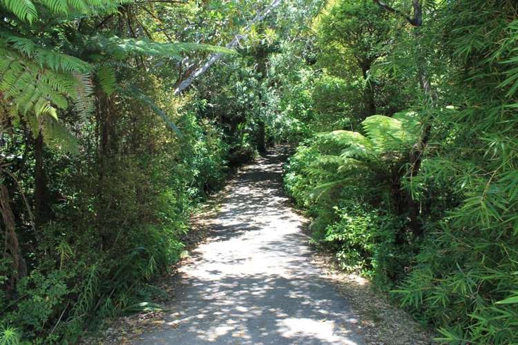 604 Wyuna Bay Road Coromandel_11