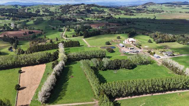 664 Te Pua Road Kaikohe_3