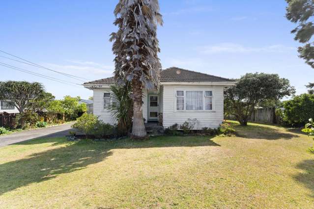 39 Hain Avenue Mangere East_2