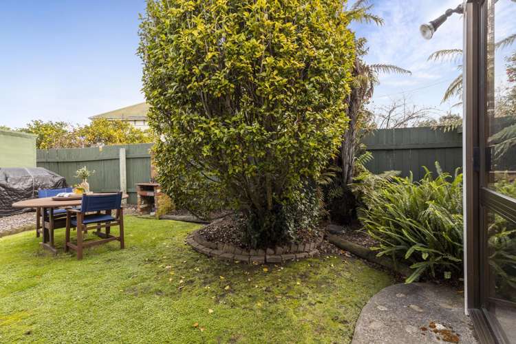 62 Park Terrace Blenheim Central_13