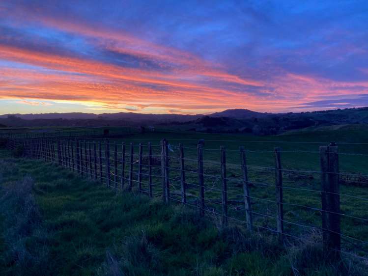 823 Wairamarama Onewhero Road Onewhero_21