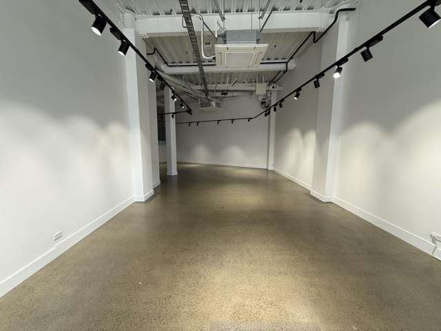 2/115 Victoria Street Te Aro_3