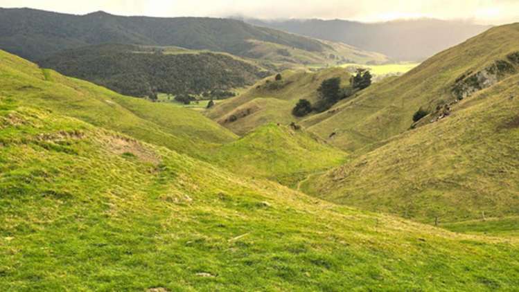 Mangaraupiu Road Eketahuna_13