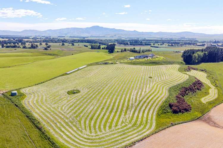 122 Oldfields Road Fairlie_6