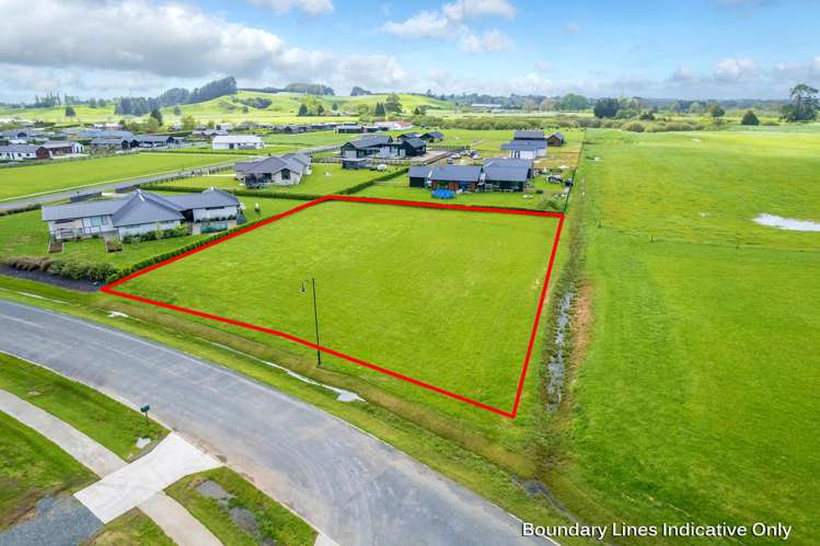895 Collinson Street Pirongia_5