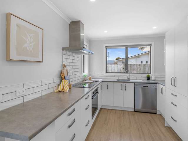 137a Winchester Street Levin_1