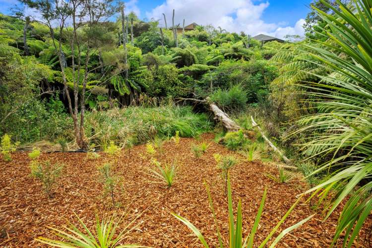 14 Korari Way Unsworth Heights_22