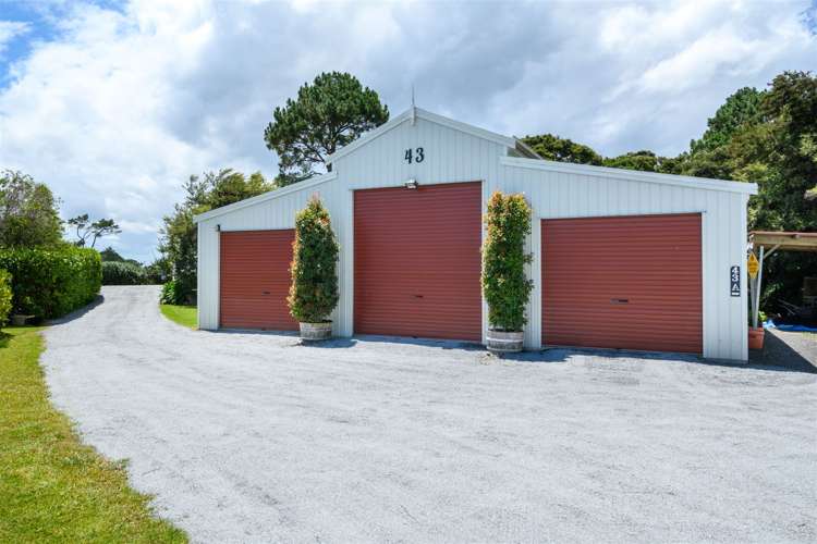 43 Sunnyvale Road Massey_7