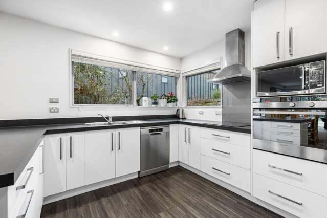 5 Spring Grove Street Spreydon_2