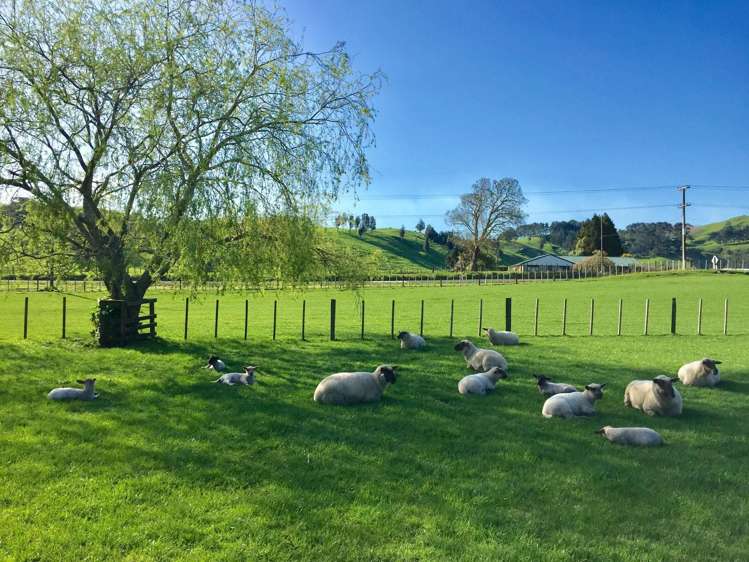 505 Golden Valley Road Waihi_6