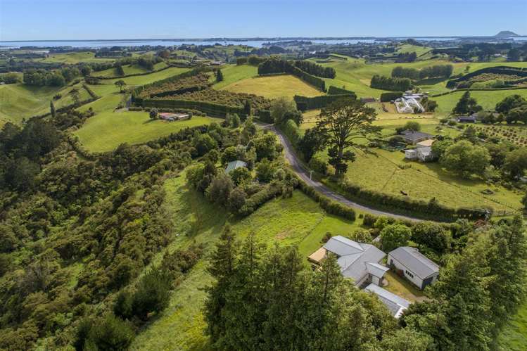 222 Wainui South Road Whakamarama_22