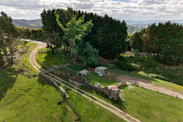 551 Parikanapa Road Tiniroto_4