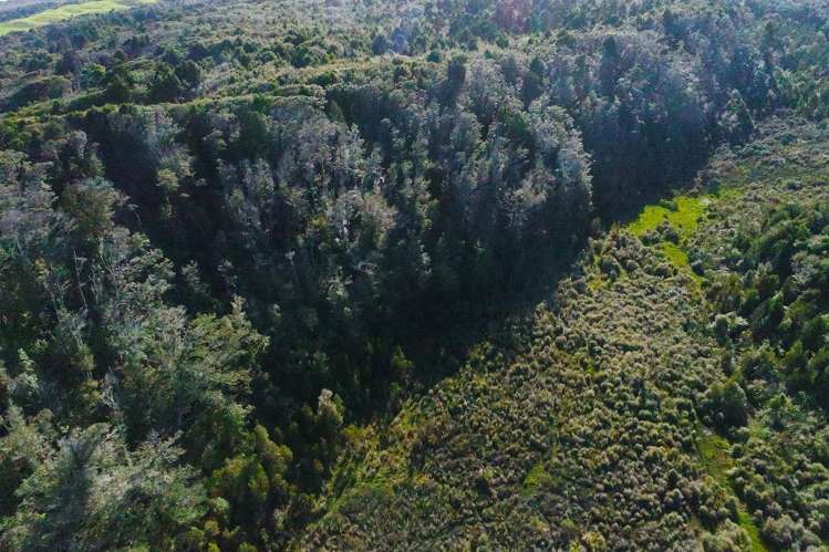 5/1290 Tanglefern Row Charleston_8