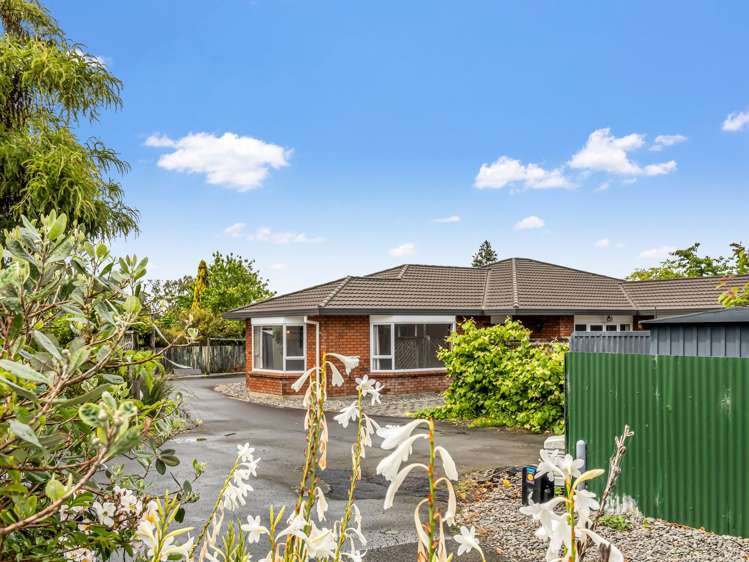 6 Porritt Street Saint Johns Hill_21