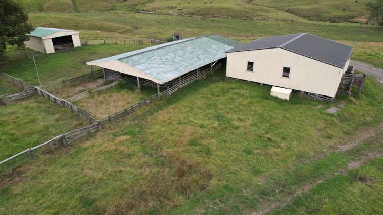 351 Bull Road Paparoa_7