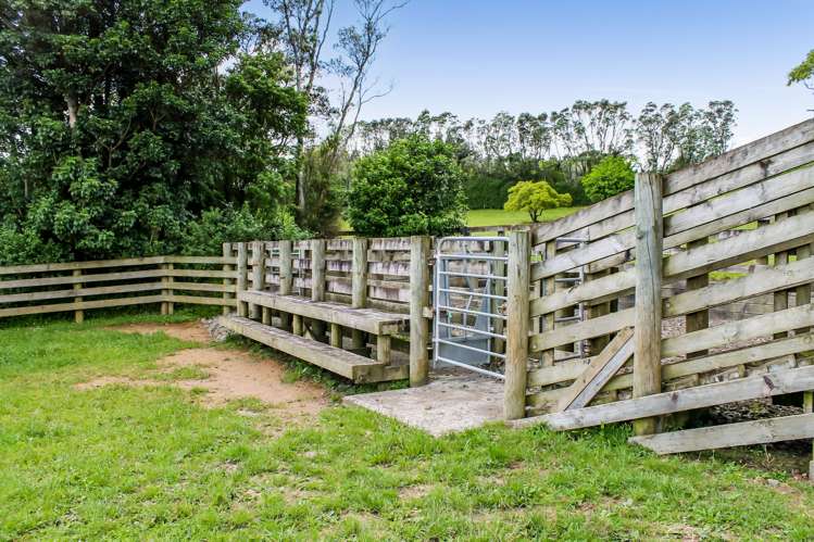 Upland Road Egmont Village_7