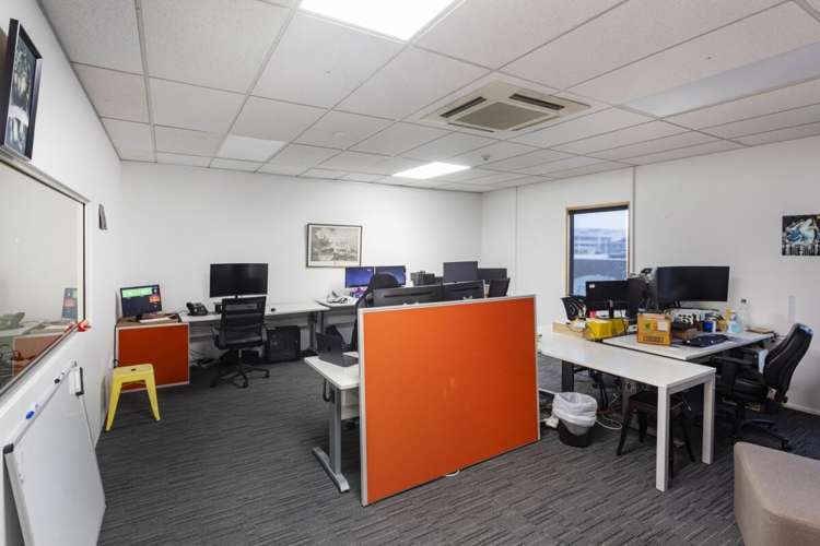 23 Carlyle Street Sydenham_17