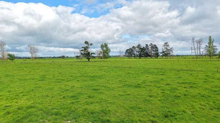 264 Matatoki Road Matatoki_21