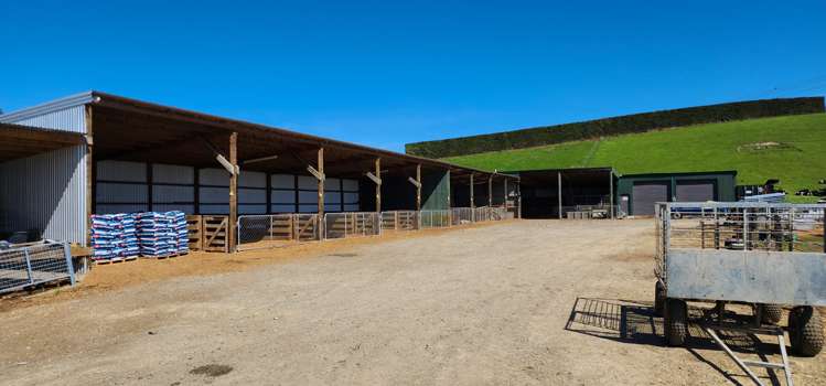 515 Kakanui Valley Road Five Forks and Surrounds_11