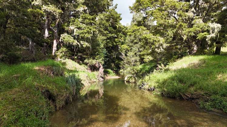 30C Te Ranga Road Kaeo_19