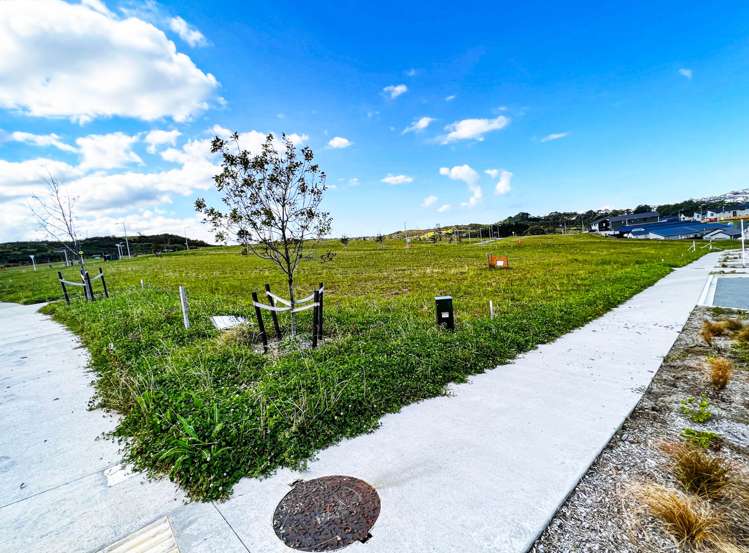 Address withheld Orewa_2