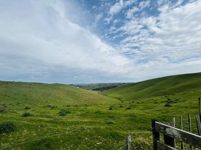 896c Whakapirau Road Whakapirau_1