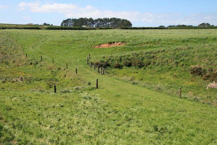 520 Lower Duthie Road Matapu_22
