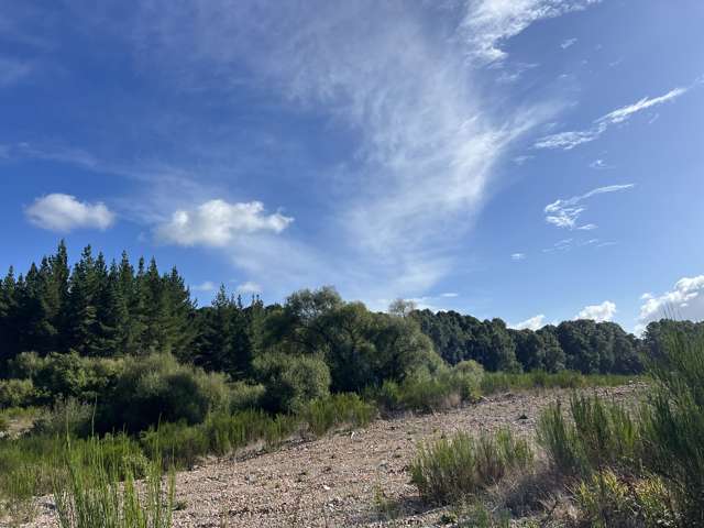 Lot . Red Jacks Road Ngahere_1