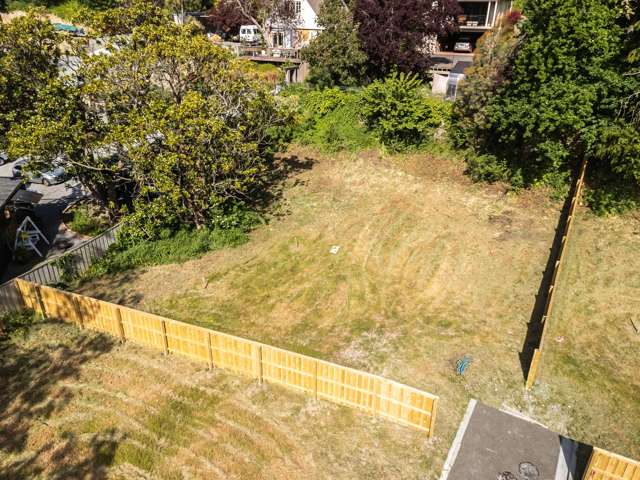 77 Aynsley Terrace Hillsborough_1