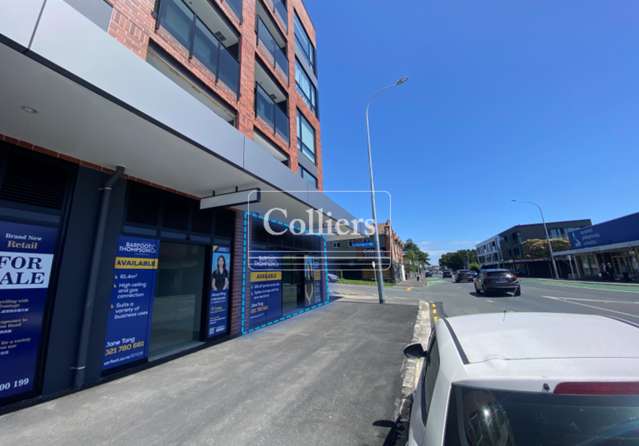 Unit G, 428  Dominion Road Mount Eden_1