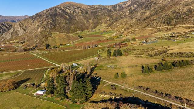 Gibbston Back Road Gibbston_4