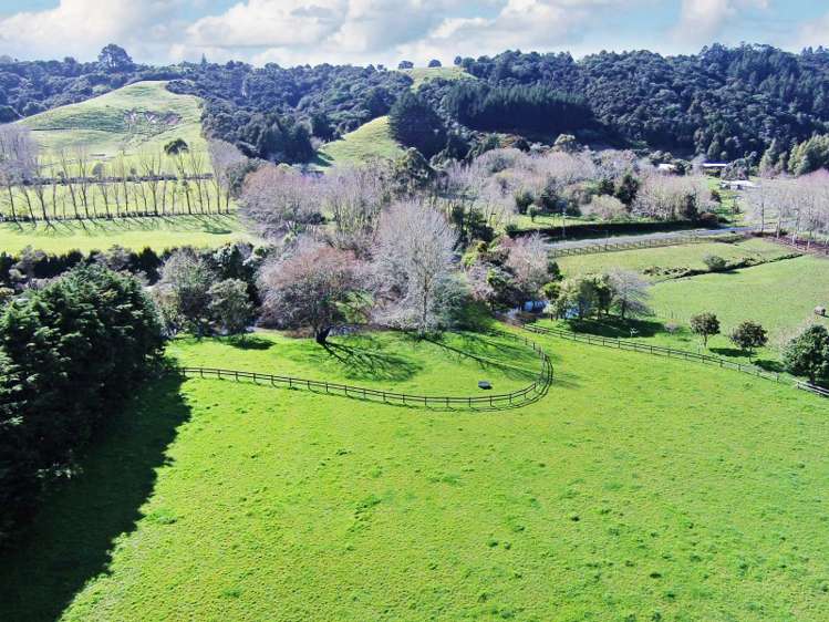 310 Mcnicol Road Clevedon_19