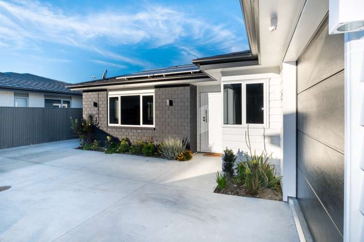 164a Guppy Road Taradale_17