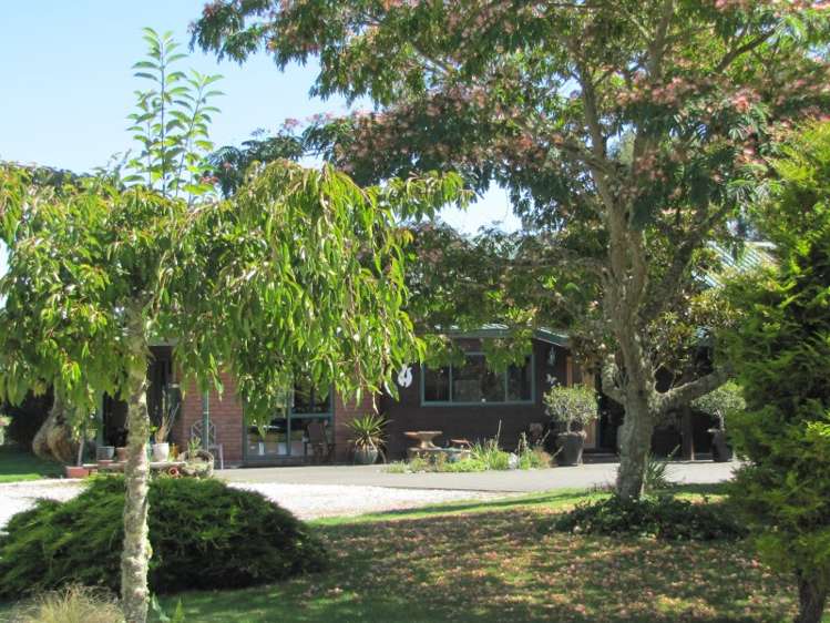 726 Whangamata Road Kinloch_6