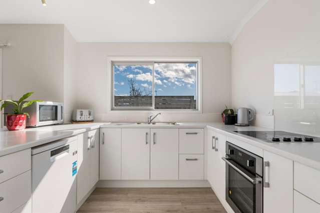 37a Queen Street Te Puke_1
