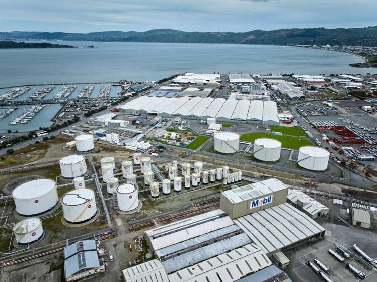 240 Gracefield Road Seaview_16