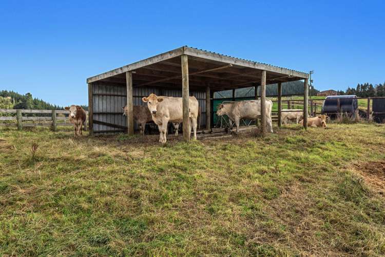 1207C Stanley Road Whakatane_13