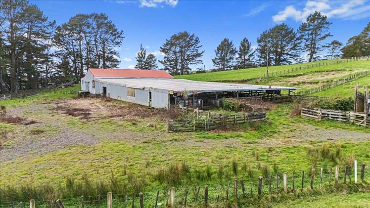 1535 Taumatamaire Road Awakino_23