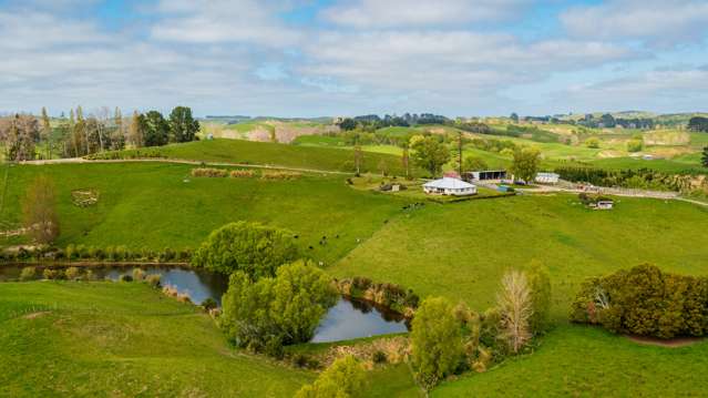 338 Te Awa Road Central Hawkes Bay Coastal_1