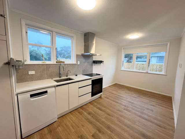 67 Apirana Avenue Glen Innes_3
