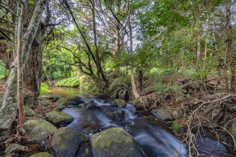 9 Manako Place Kerikeri_33