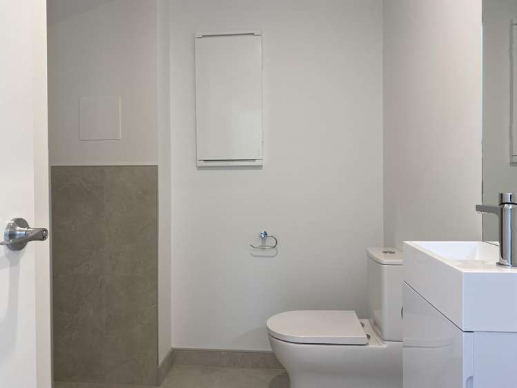 3 Hochstetter Stonefields_10